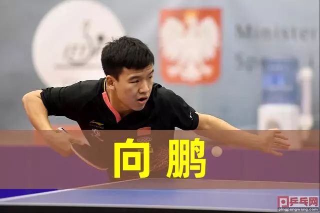 要在姚道刚 要在姚道刚