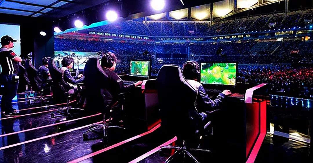 灰熊又是否 灰熊又是否