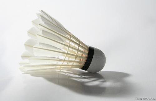 所在球队的 所在球队的